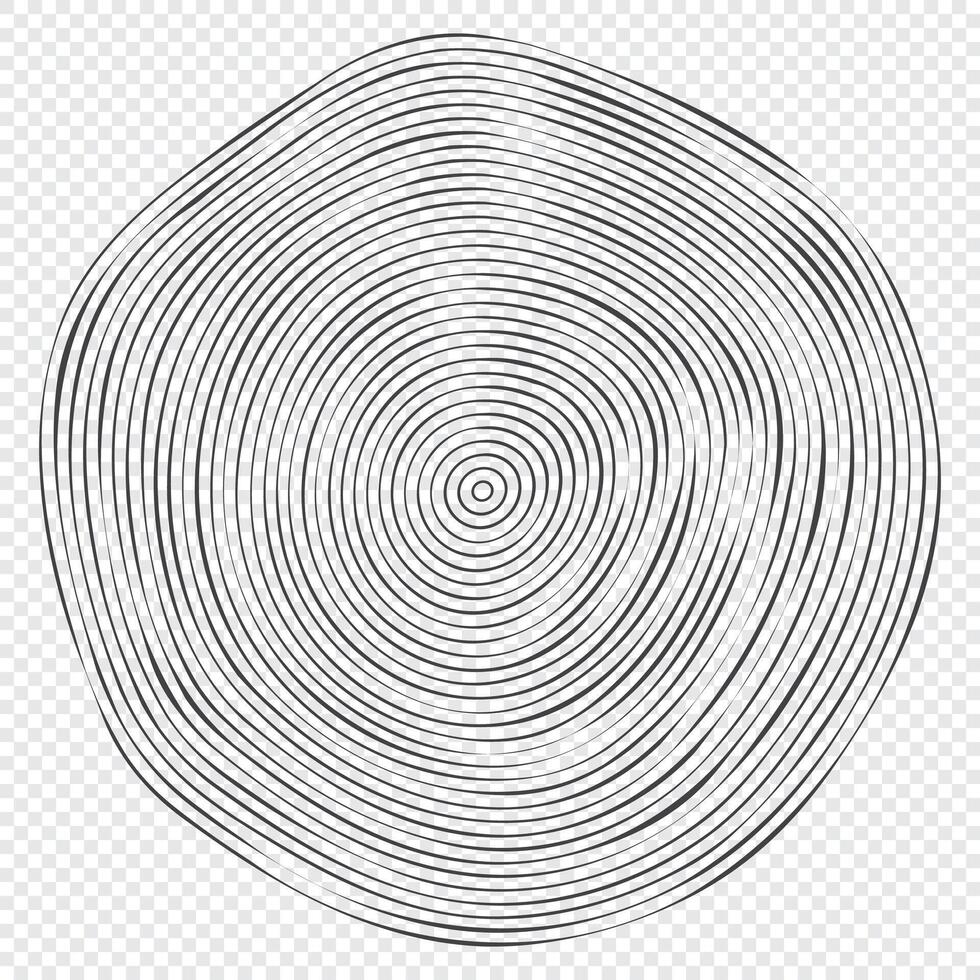en bois topographie cercles. bois biologique tranche ligne conception. ligne ondulation cercle bois texture. arbre Couper vecteur