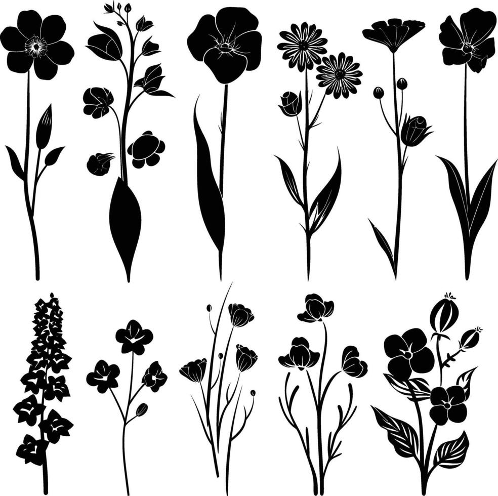 ai généré silhouette printemps fleur collection noir Couleur seulement vecteur