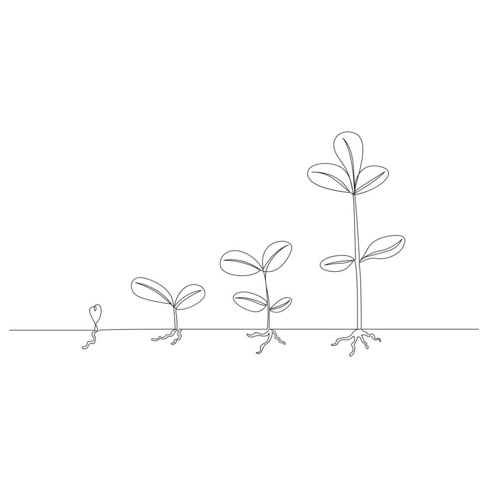 un ligne dessin plante croissance En traitement contour vecteur illustration