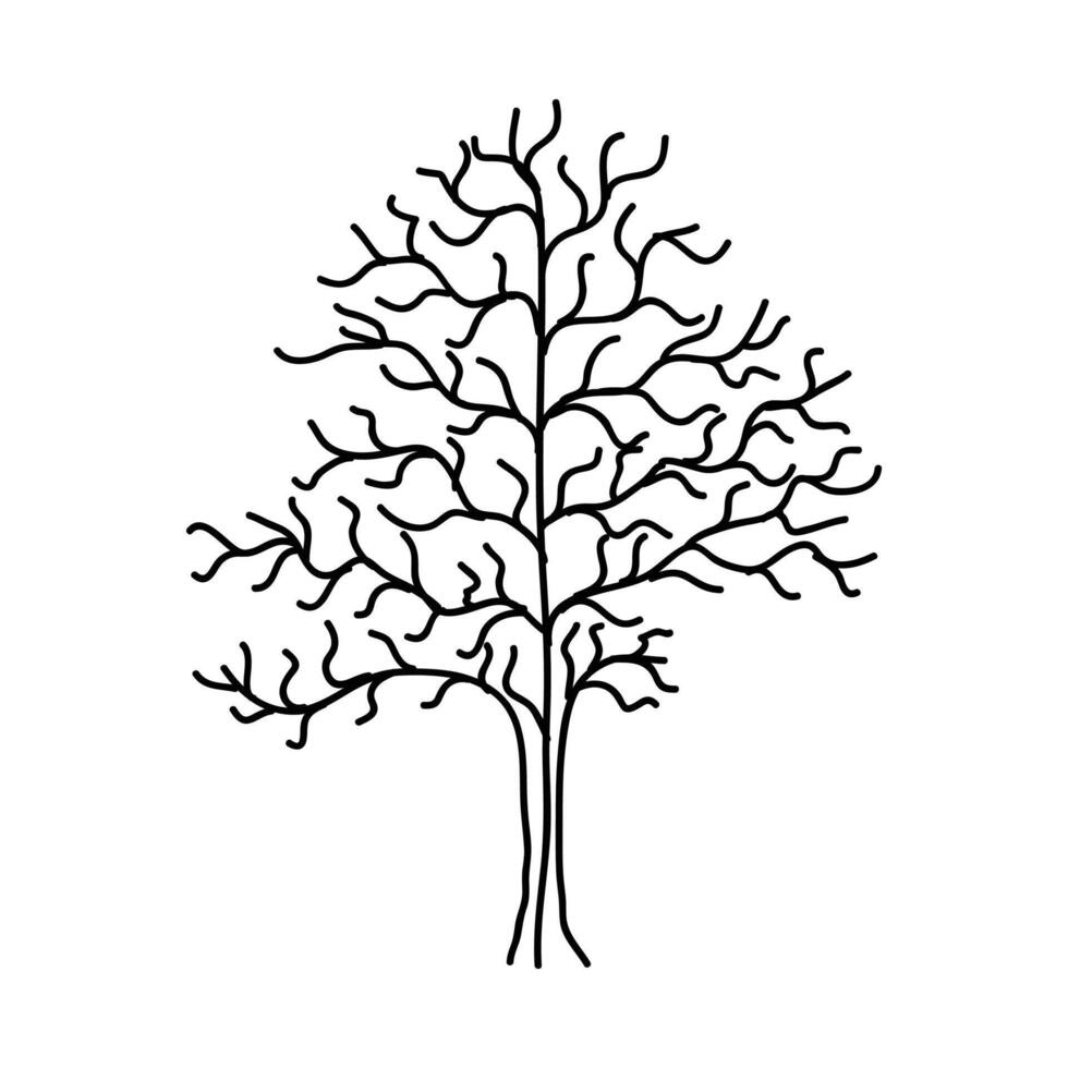main tiré arbre contour, arbre ligne art noir et blanc esquisser dessin vecteur