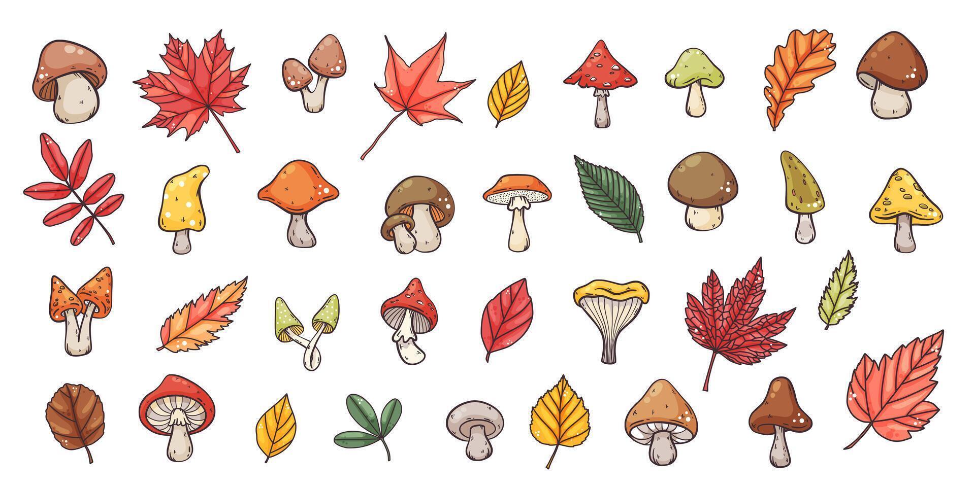 gros ensemble de main tiré l'automne champignons et feuilles éléments, main tiré mignonne dessin animé coloré style, vecteur illustration