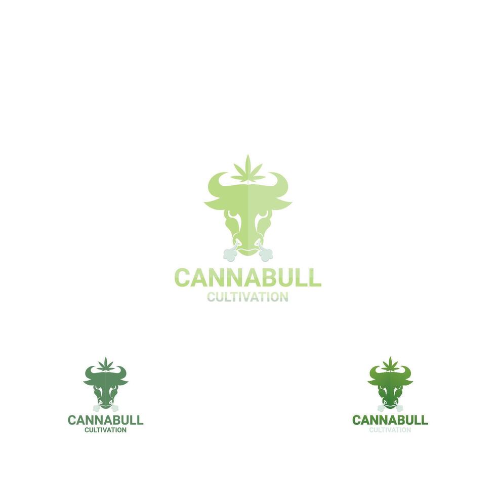 là sont taureau tête , cultivation ou plantation , fumée à venir en dehors de taureau nez Trois concept combiné faire canna taureau logo. vecteur