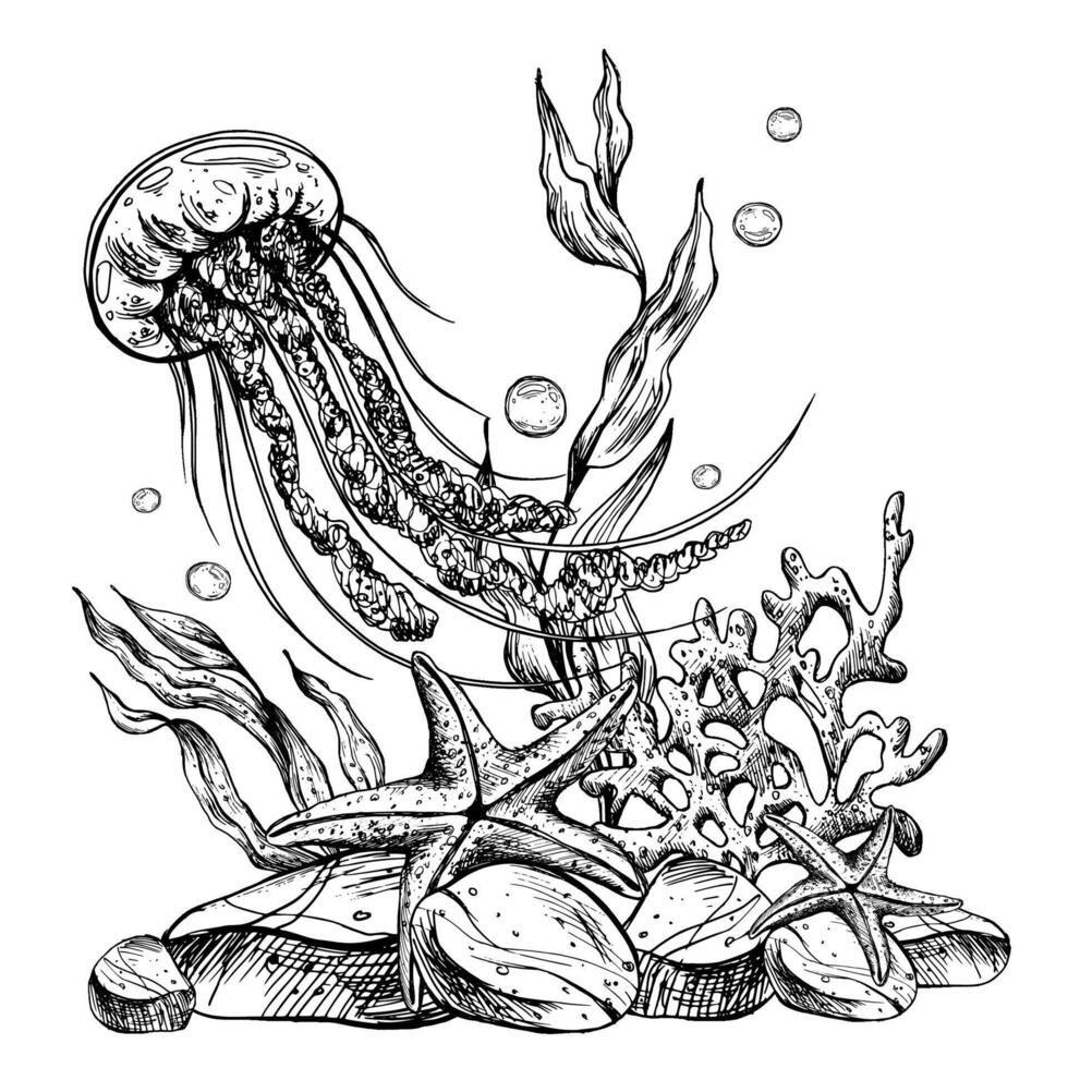 sous-marin monde clipart avec mer animaux méduse, étoile de mer, cailloux, bulles, corail, éponge et algues. graphique illustration main tiré dans noir encrer. composition eps vecteur. vecteur