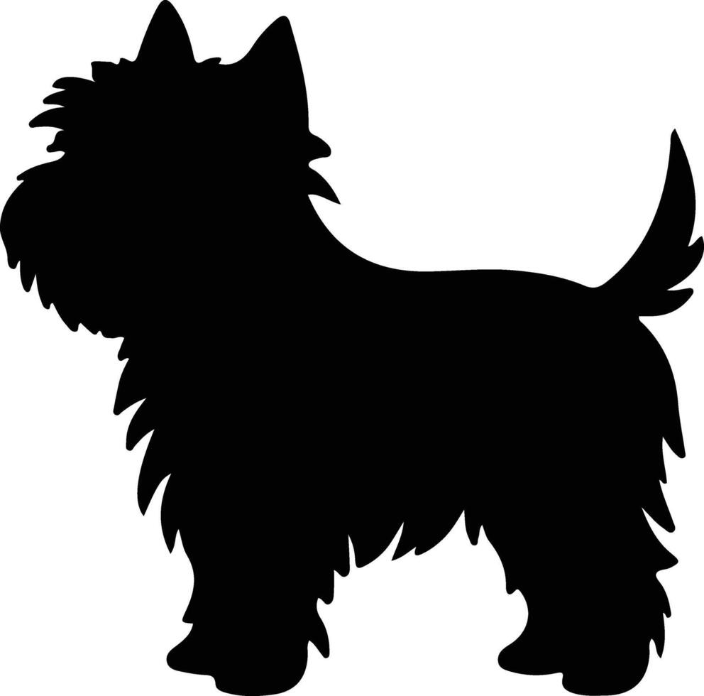 norwich terrier noir silhouette vecteur