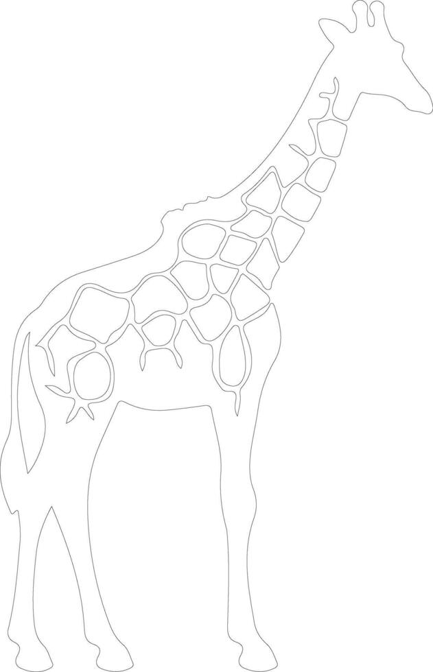 girafe contour silhouette vecteur