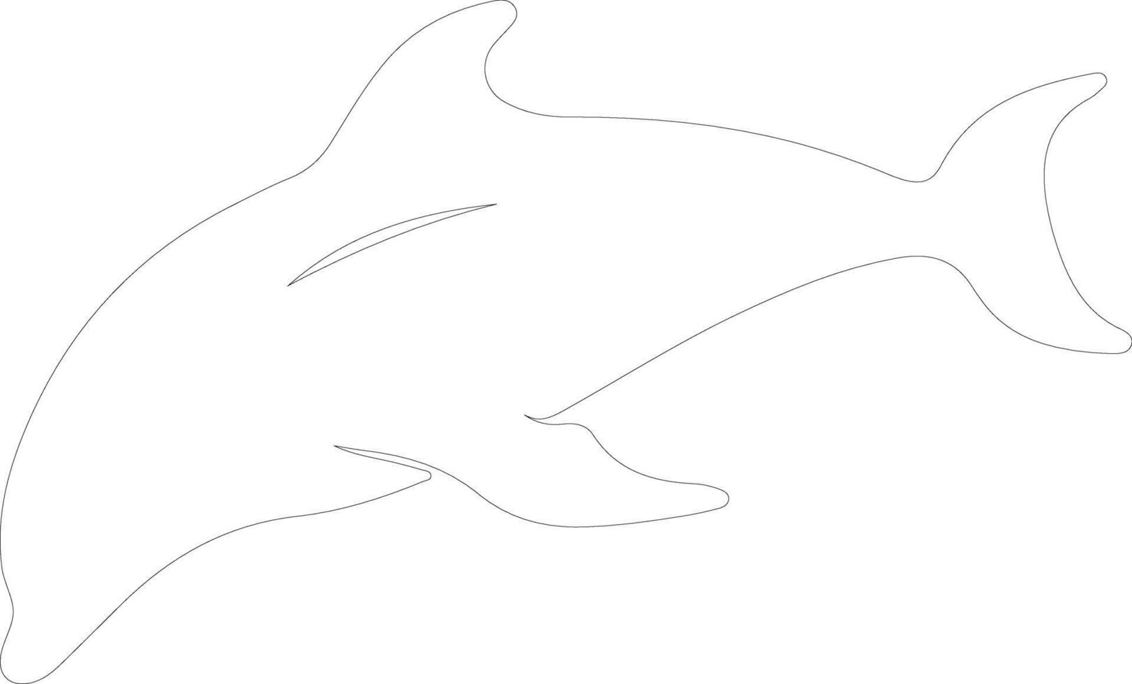 béluga baleine contour silhouette vecteur