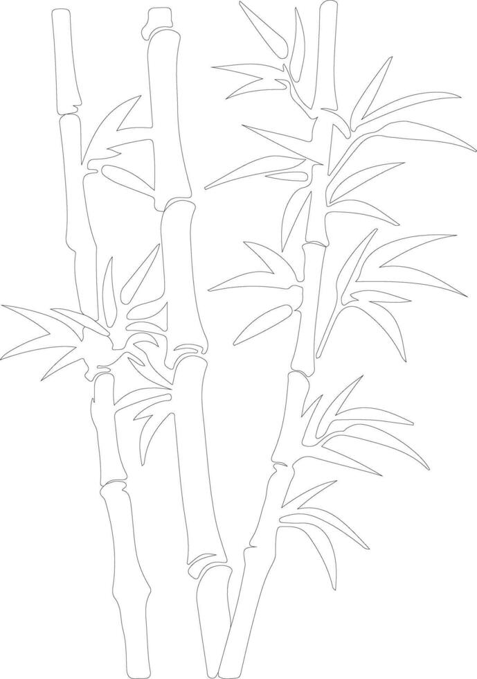 bambou pousse contour silhouette vecteur