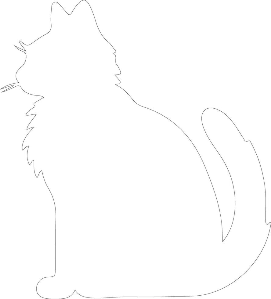 Ussuri chat contour silhouette vecteur