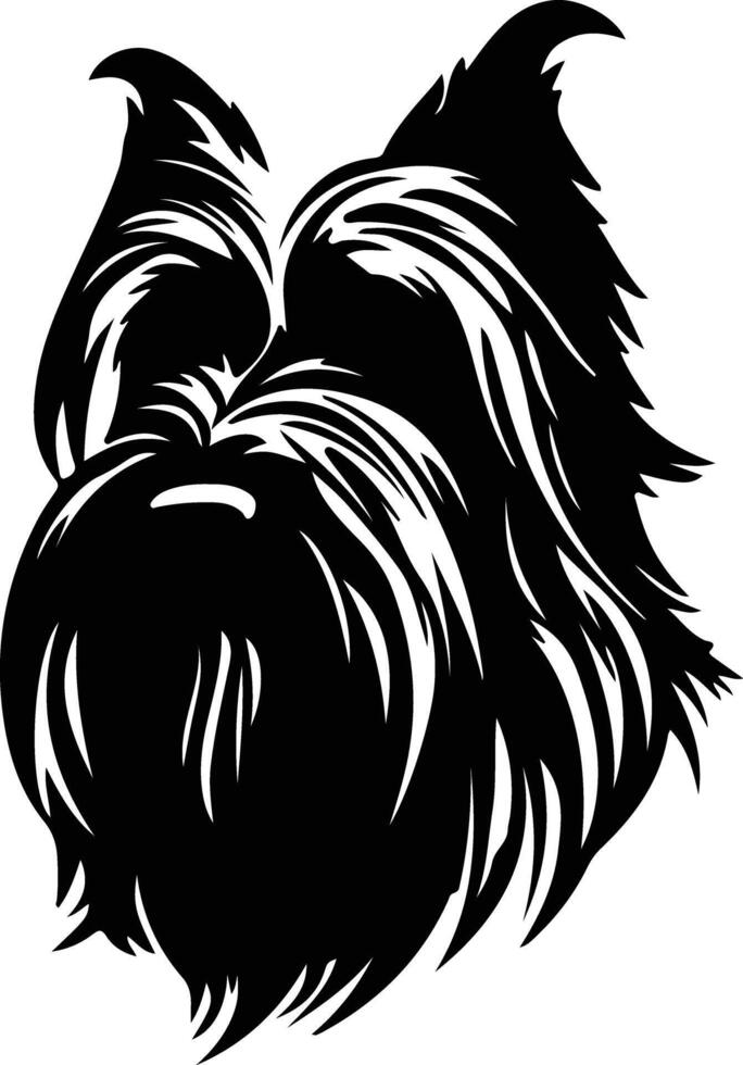 briard silhouette portrait vecteur