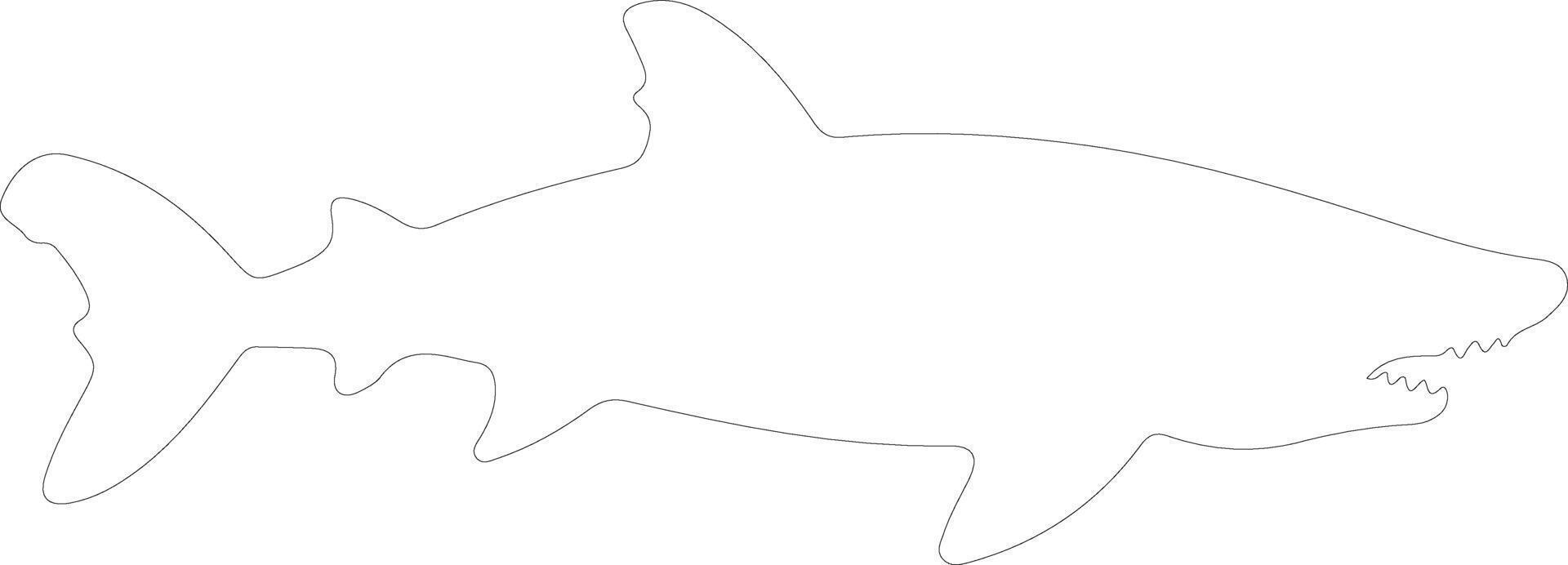 Groenland requin contour silhouette vecteur