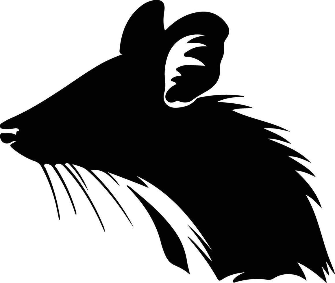 bandicoot silhouette portrait vecteur