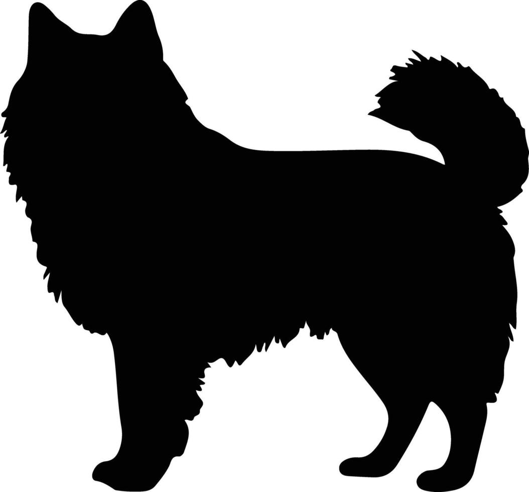 schipperke noir silhouette vecteur