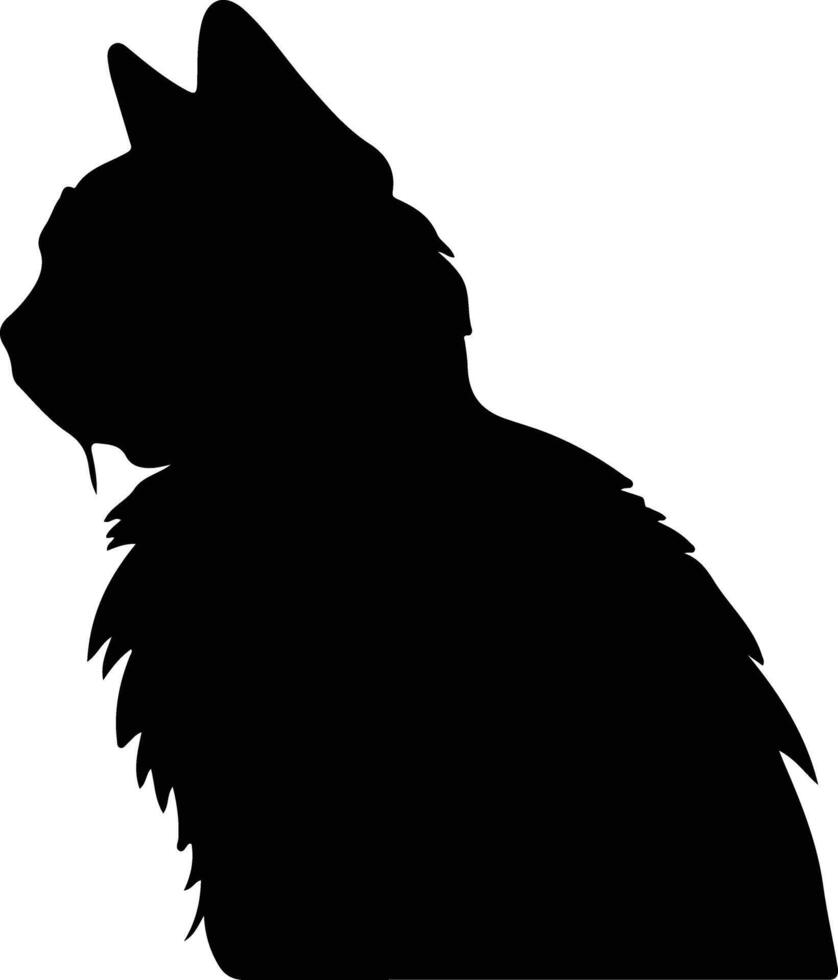 Selkirk Rex chat silhouette portrait vecteur