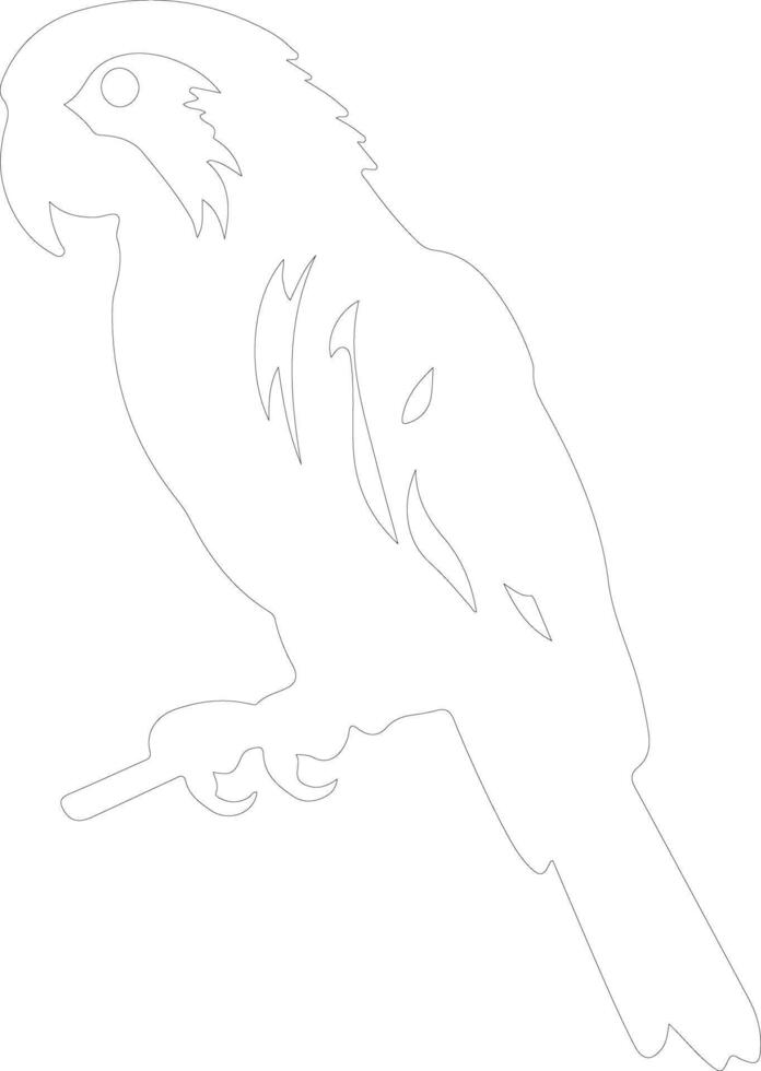 perroquet contour silhouette vecteur