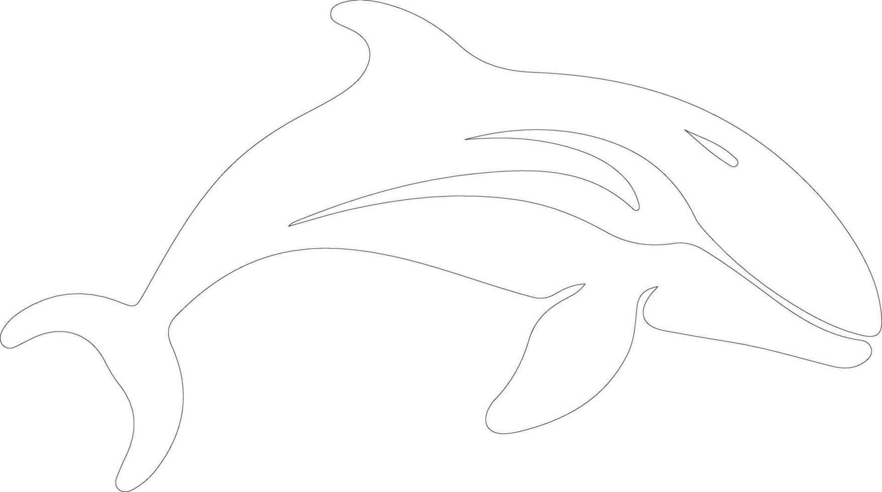 béluga baleine contour silhouette vecteur