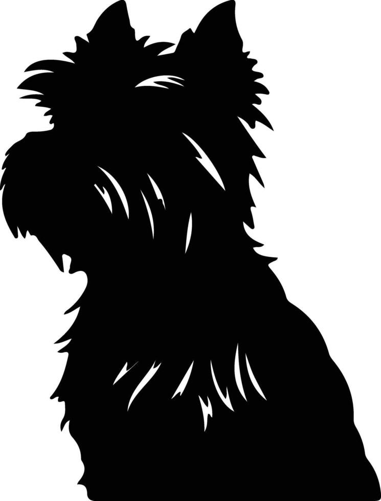 Affenpinscher noir silhouette vecteur