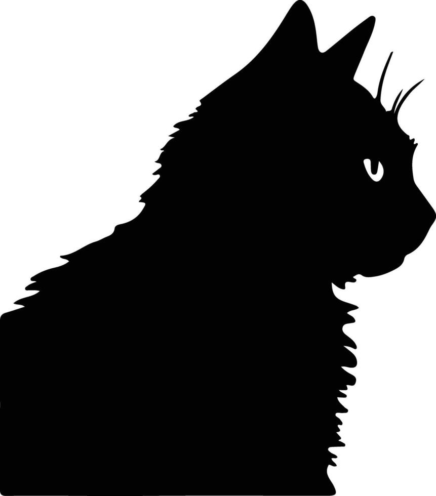 Selkirk Rex chat silhouette portrait vecteur