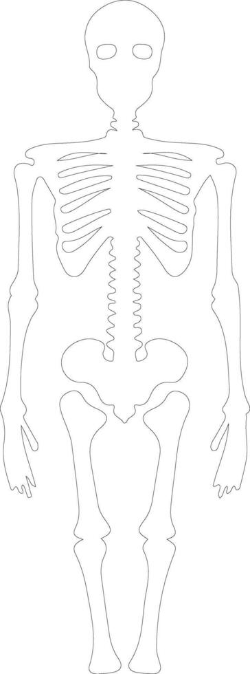 squelette contour silhouette vecteur