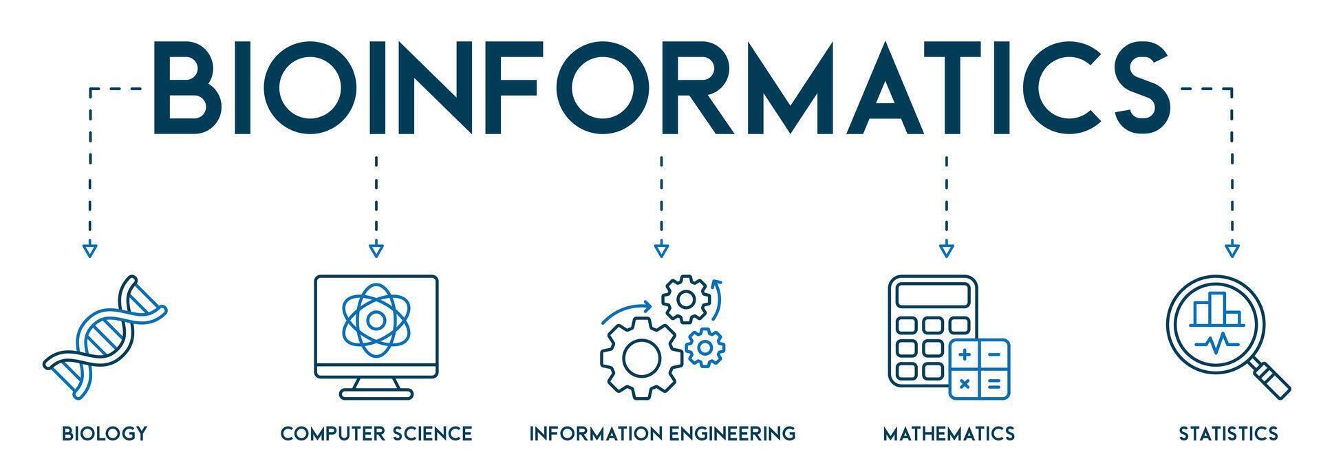 bioinformatique bannière site Internet icône vecteur illustration concept avec icône de la biologie, ordinateur science, information ingénierie, mathématiques et statistiques