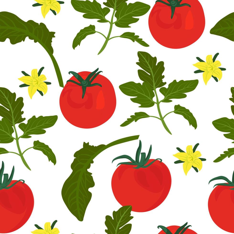 tomates sont une sans couture répéter modèle. tomate vecteur Stock illustration. mûr rouge des fruits de le légume.
