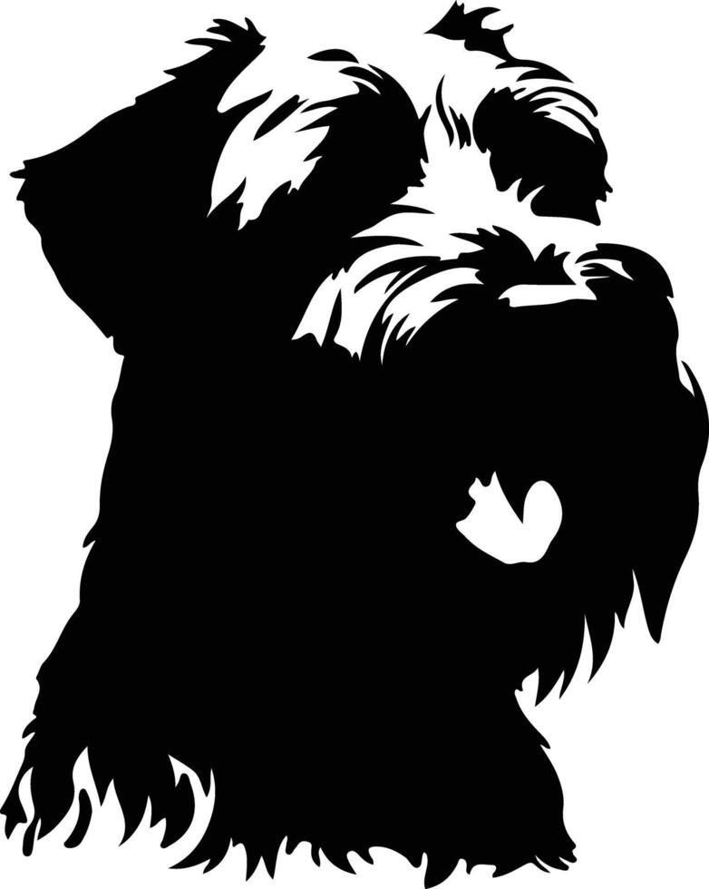 doux recouvert froment terrier noir silhouette vecteur