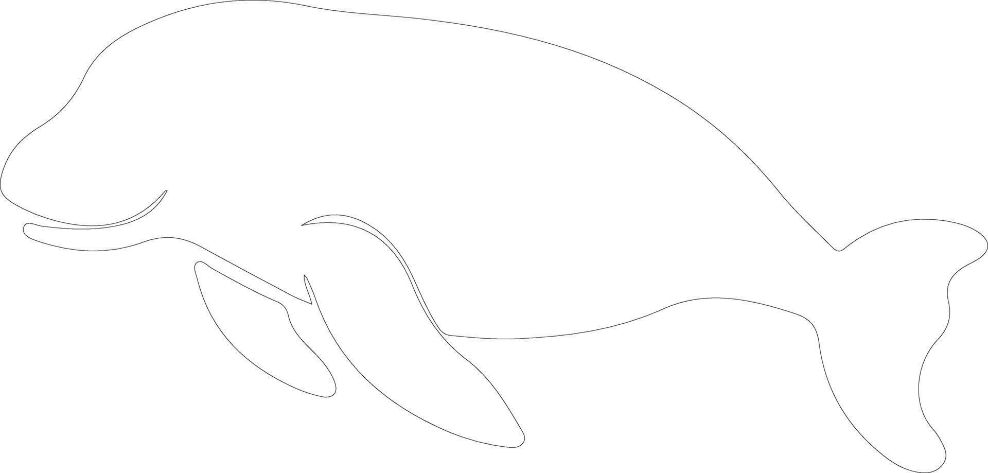 dugong contour silhouette vecteur