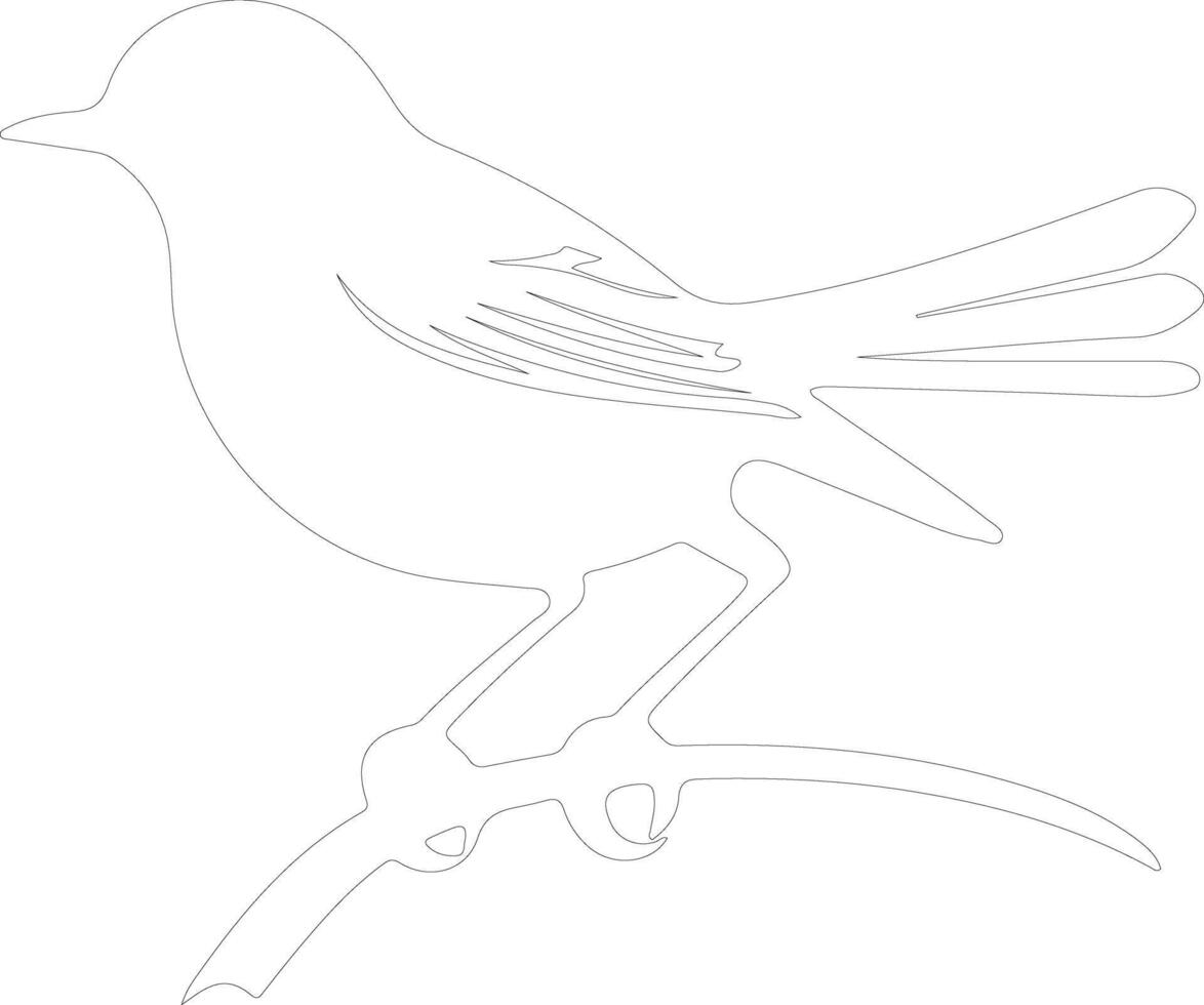 oiseau moqueur contour silhouette vecteur