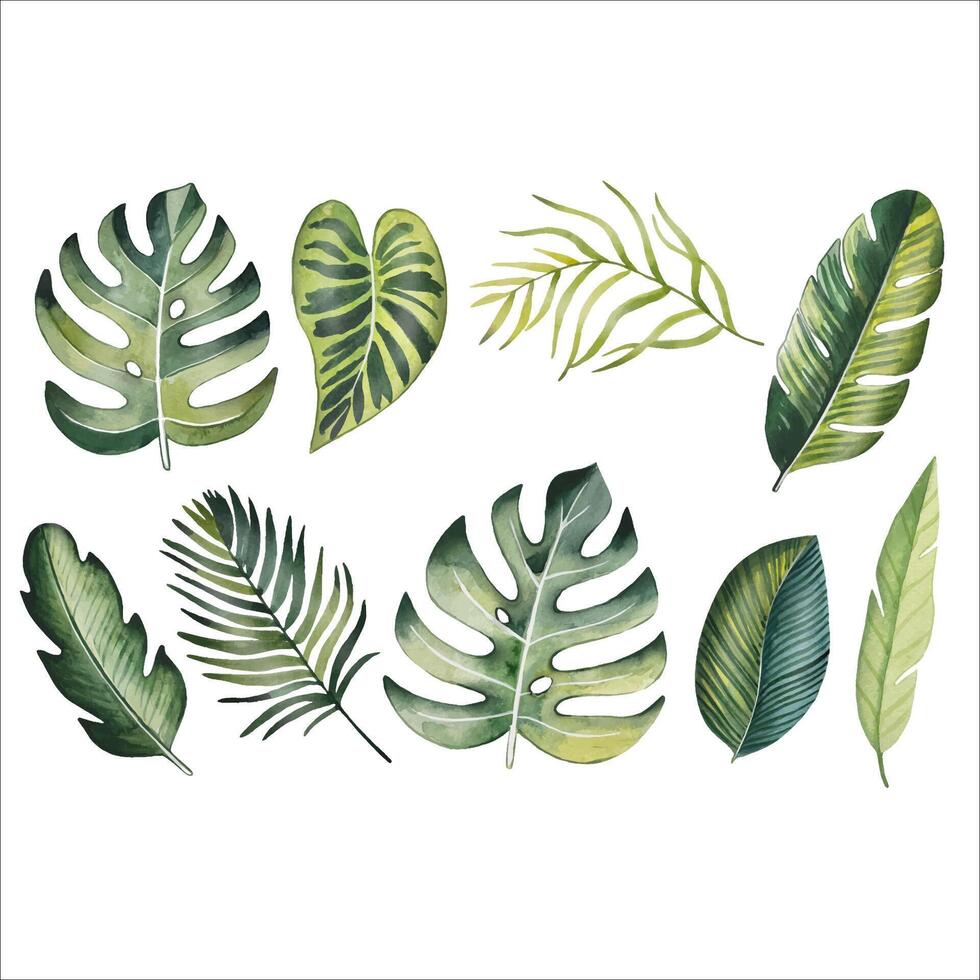 aquarelle ensemble de brillant tropical feuilles vecteur