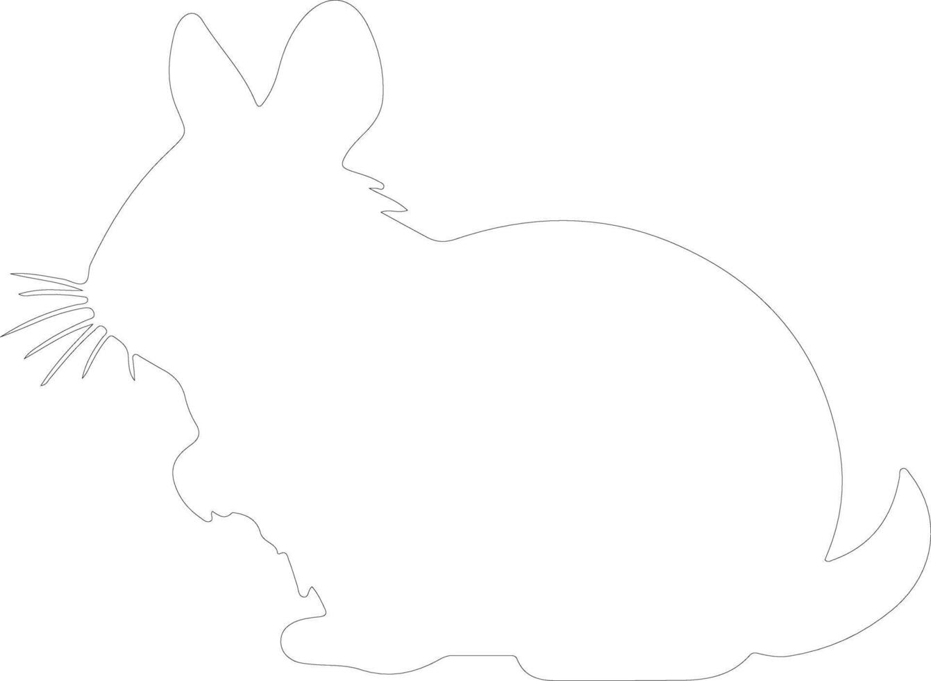 chinchilla contour silhouette vecteur