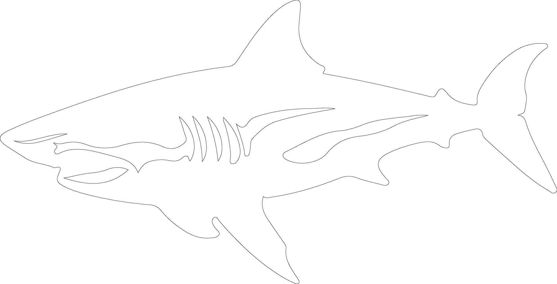 requin taureau contour silhouette vecteur