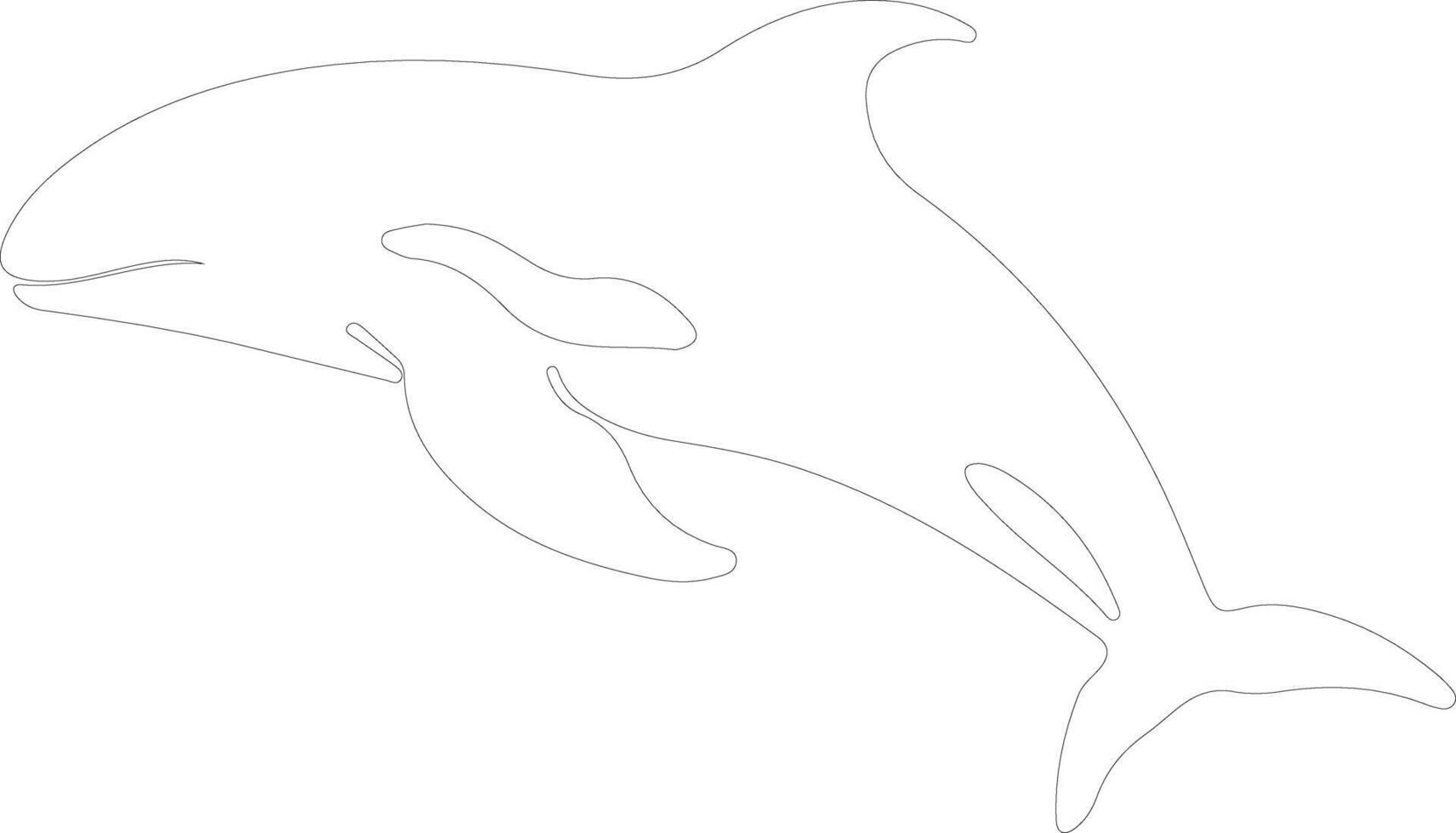 béluga baleine contour silhouette vecteur