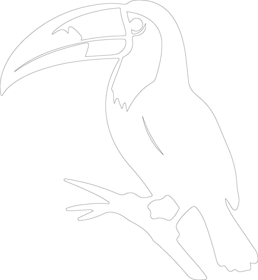 toucan contour silhouette vecteur