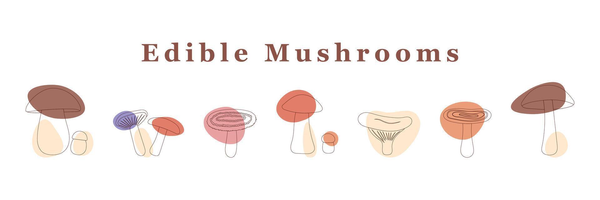 grand ensemble de comestible champignons. ligne art avec coloré place. isolé vecteur illustration.
