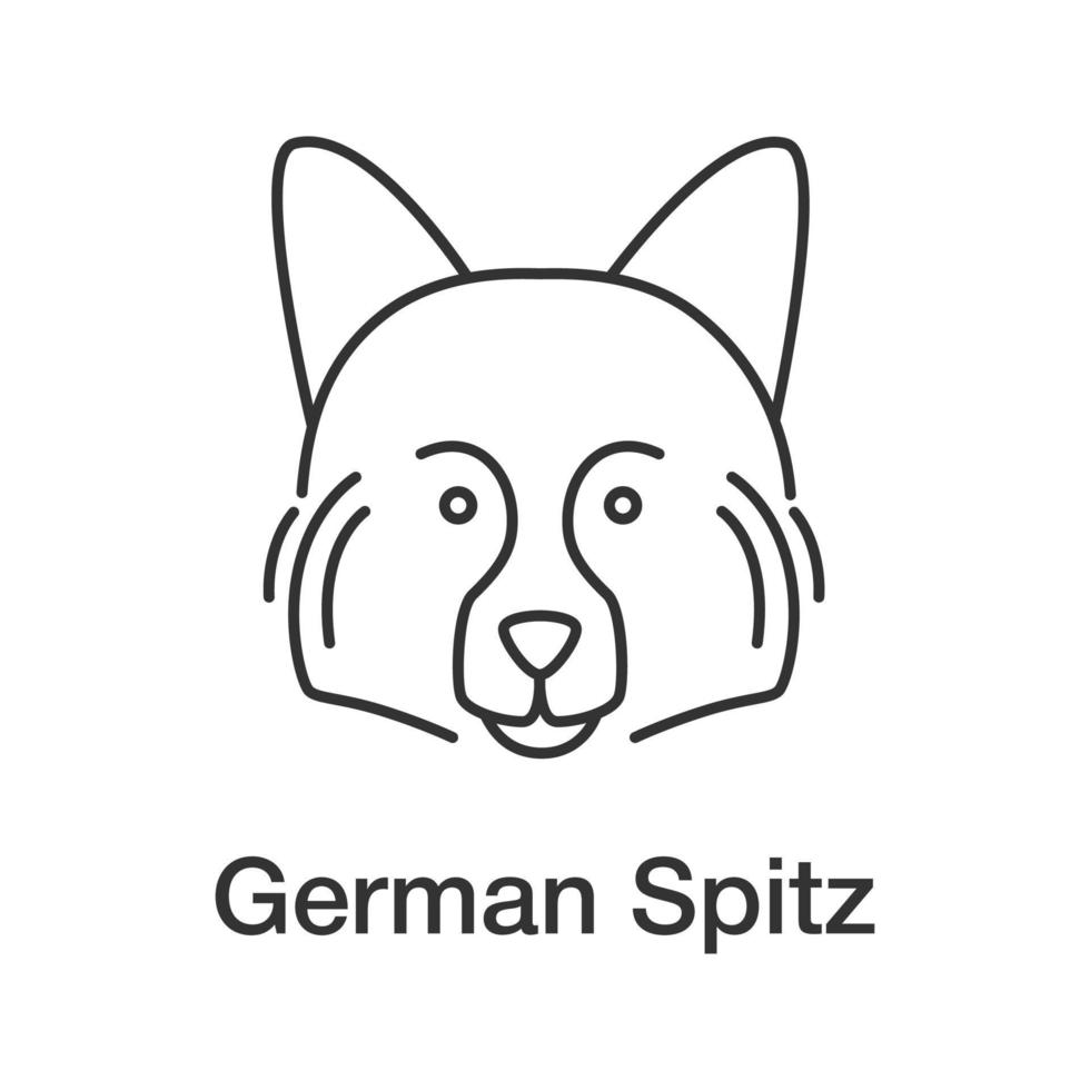 icône linéaire de spitz allemand. illustration de la ligne mince. race de chien de chasse. symbole de contour. dessin de contour isolé de vecteur