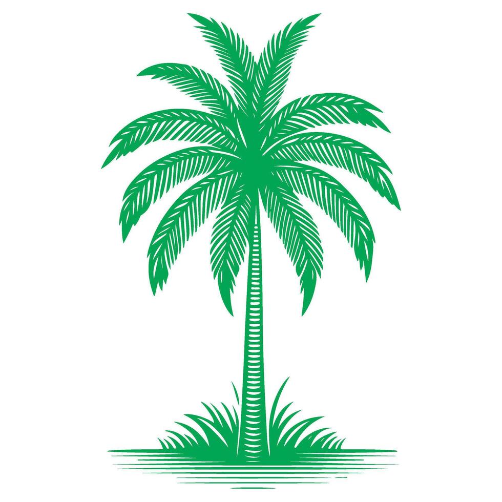 paume ou noix de coco arbre tropical vert feuilles. main dessin griffonnage esquisser style vecteur illustration