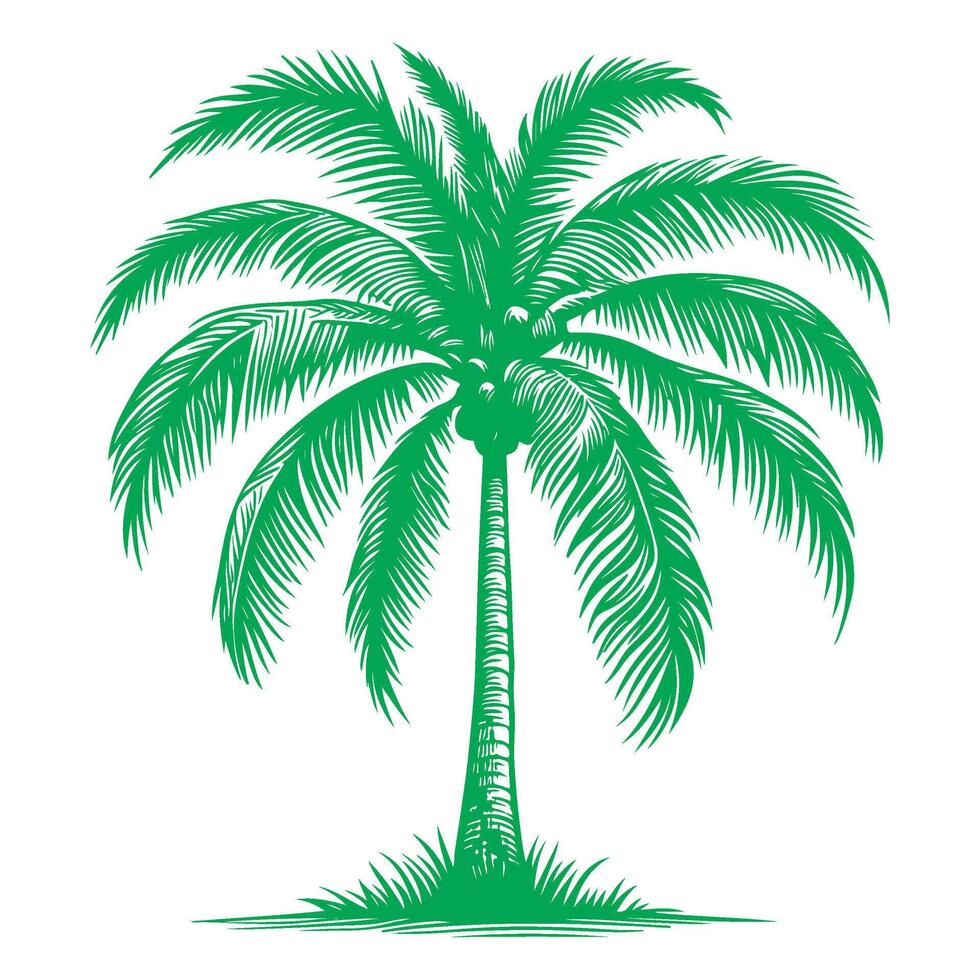 paume ou noix de coco arbre tropical vert feuilles. main dessin griffonnage esquisser style vecteur illustration