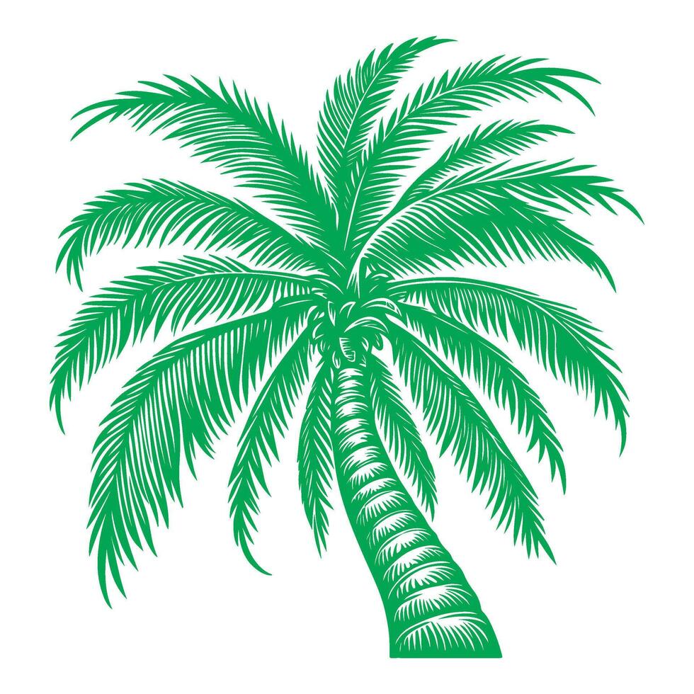 paume ou noix de coco arbre tropical vert feuilles. main dessin griffonnage esquisser style vecteur illustration