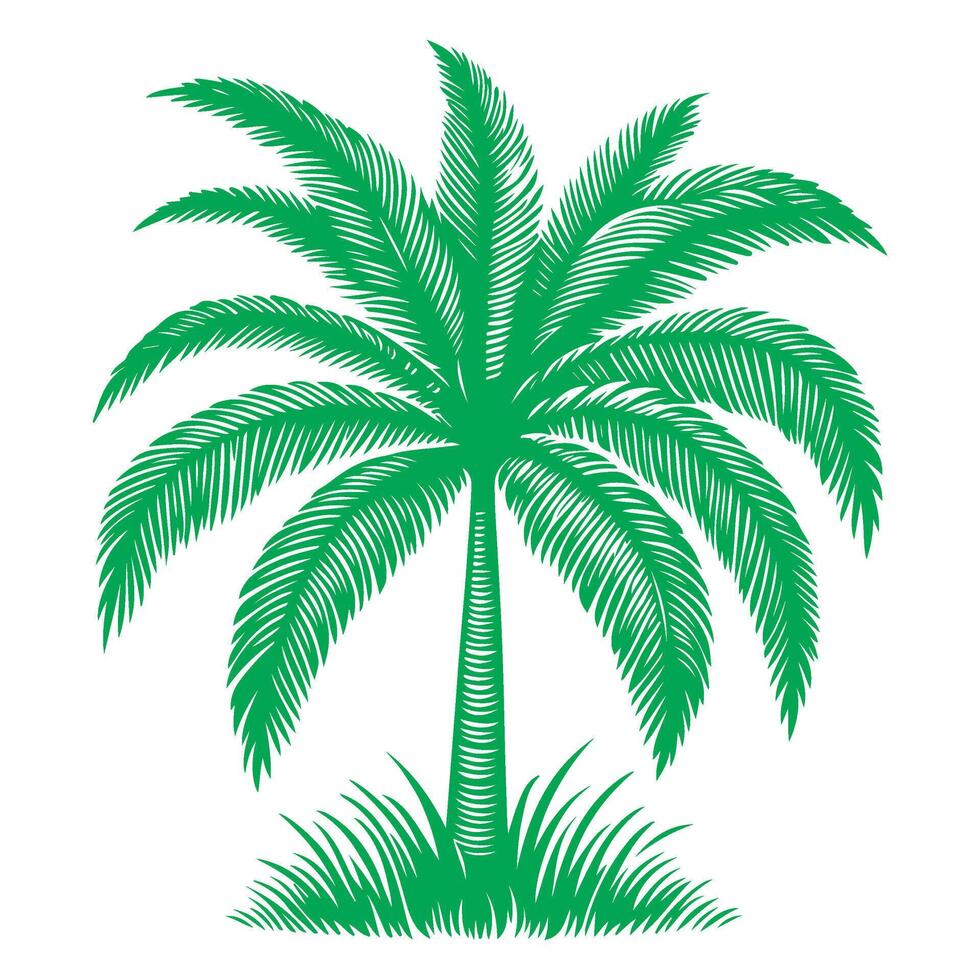 paume ou noix de coco arbre tropical vert feuilles. main dessin griffonnage esquisser style vecteur illustration