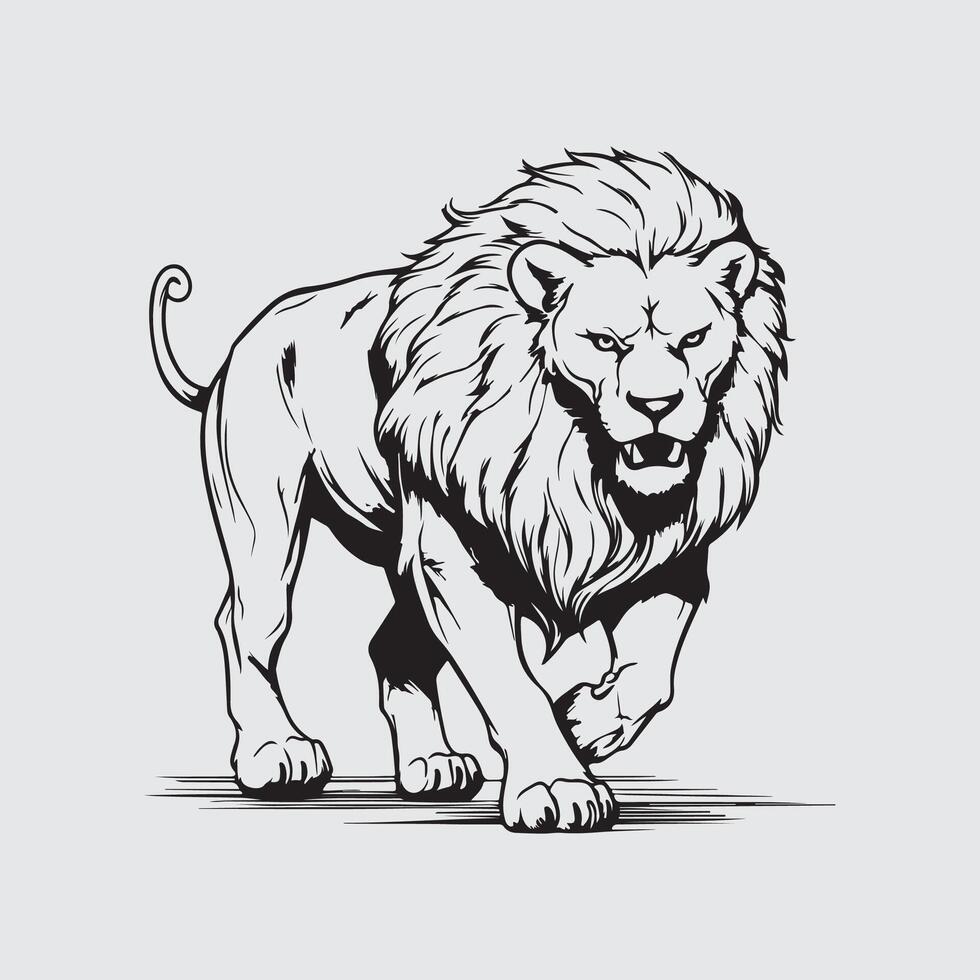 Lion illustration vecteur images, conception, art, image