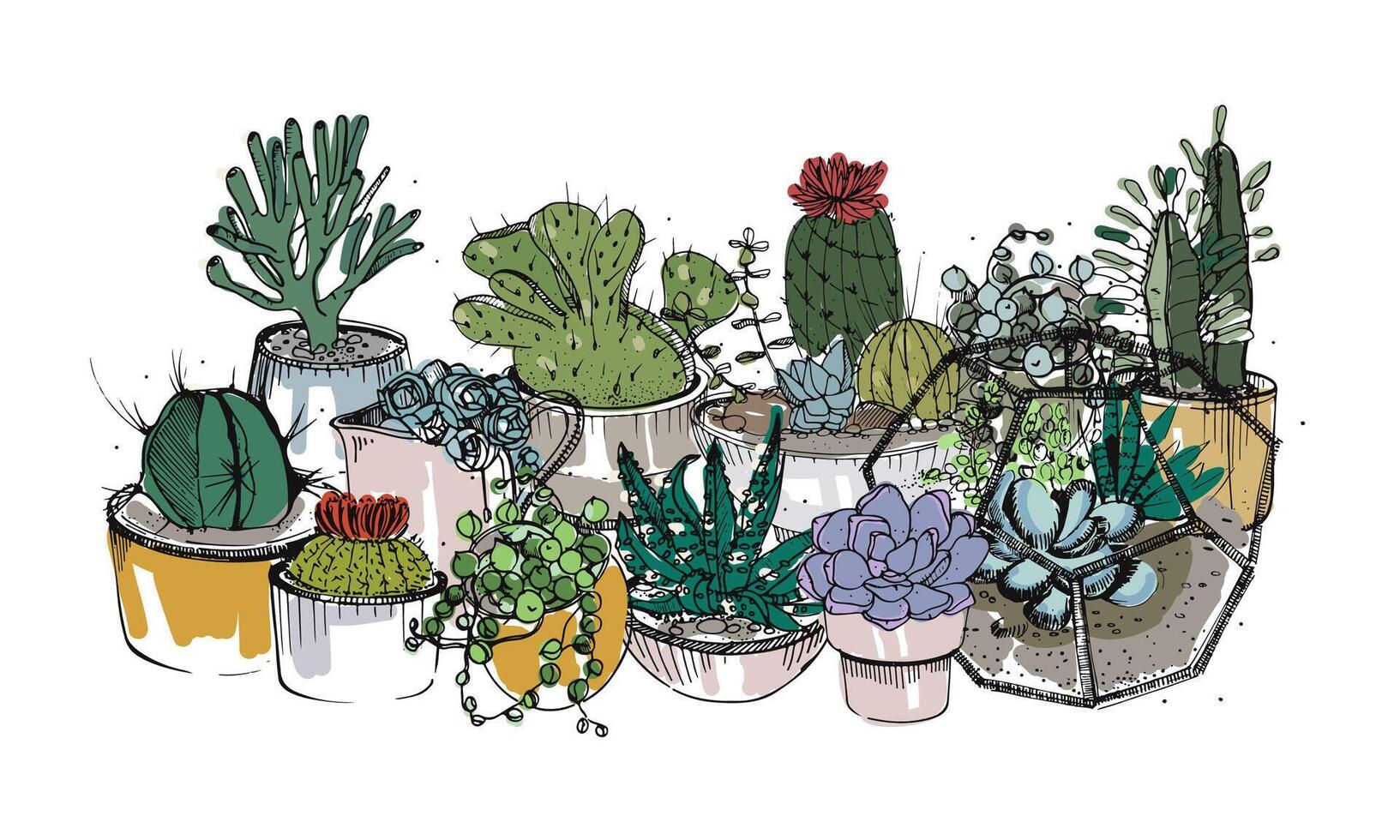 collection de main tiré succulentes, cactus et autre désert les plantes croissance dans des pots et verre vivariums. Naturel Accueil décoration. coloré vecteur illustration