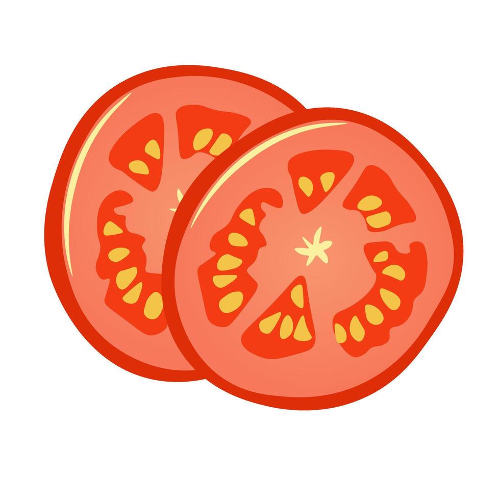 vecteur illustration, plat style. une couple de pièces de juteux tomate