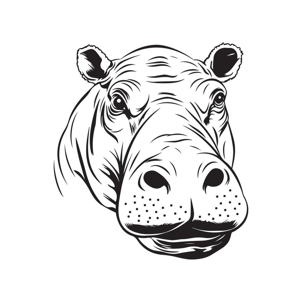 hippopotame tête vecteur art, Icônes, et graphique