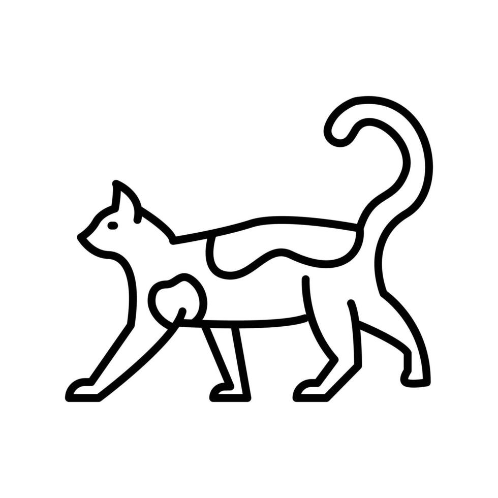 chat icône. contour icône vecteur