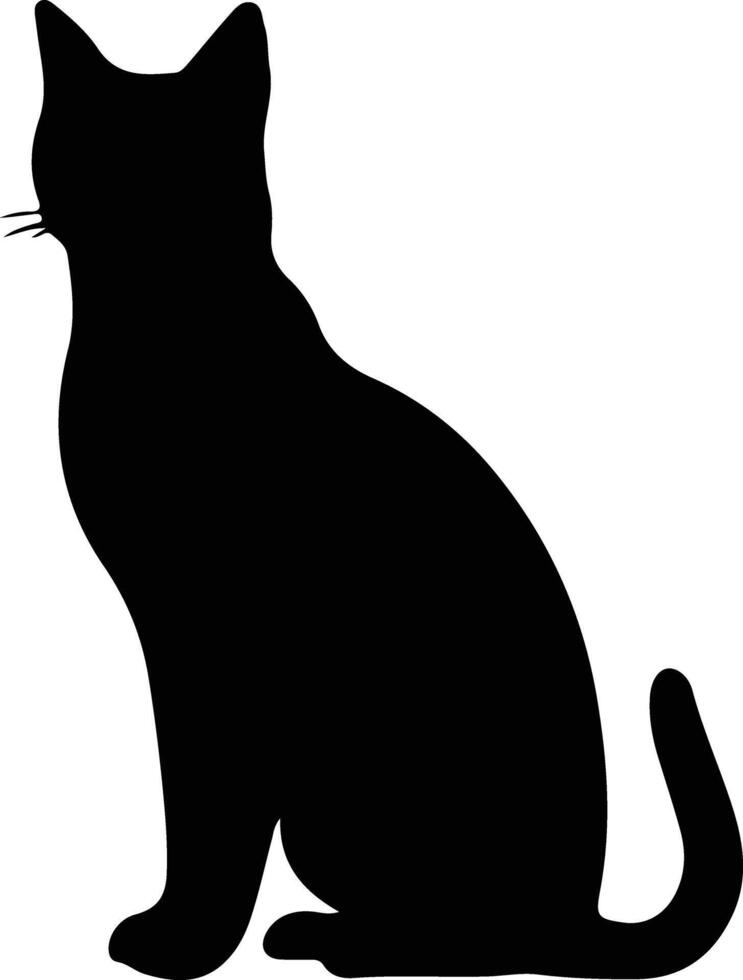 burmilla chat noir silhouette vecteur