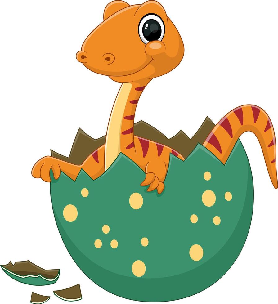 dessin animé bébé euskelosaure dinosaure éclosion de Oeuf vecteur