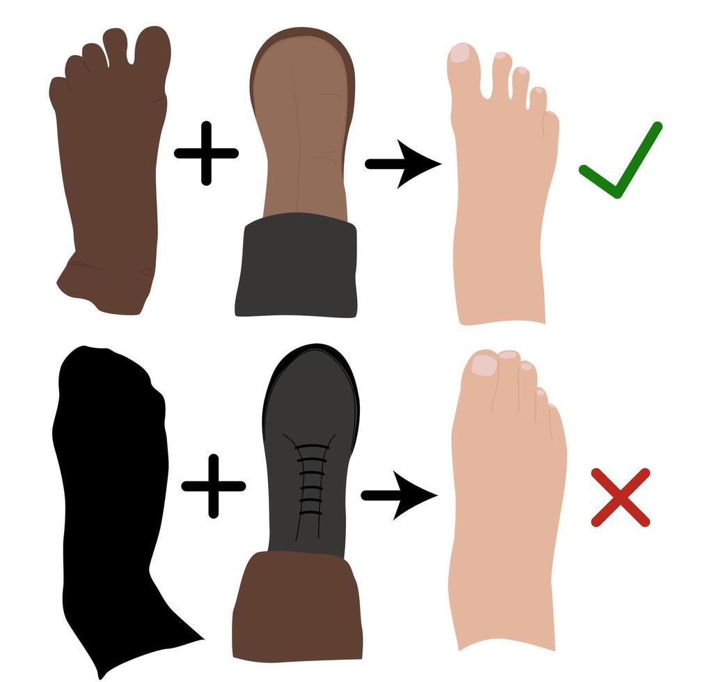 pieds nus chaussures. chaussettes avec orteils. anatomique chaussures. cette chaussure a une souple plus haut et semelle extérieure cette permet le pieds à bouge toi et fléchir naturellement, et effectivement engager chaque os.vecteur illustration vecteur