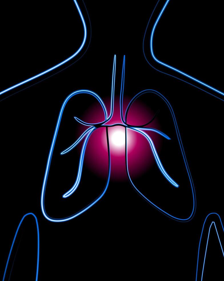 vecteur isolé illustration de Humain poumons. poumon maladies. contour dessin de Humain poumons. tuberculose.