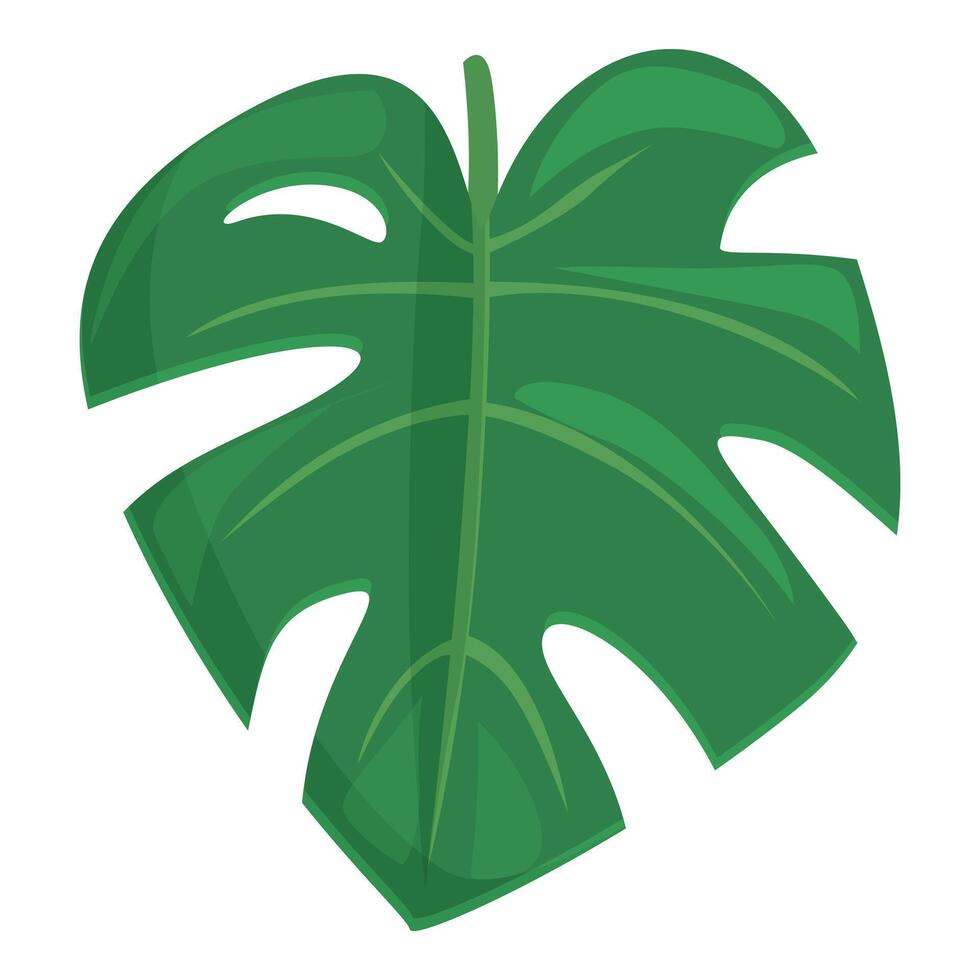 vert végétation icône dessin animé vecteur. monstera feuille vecteur