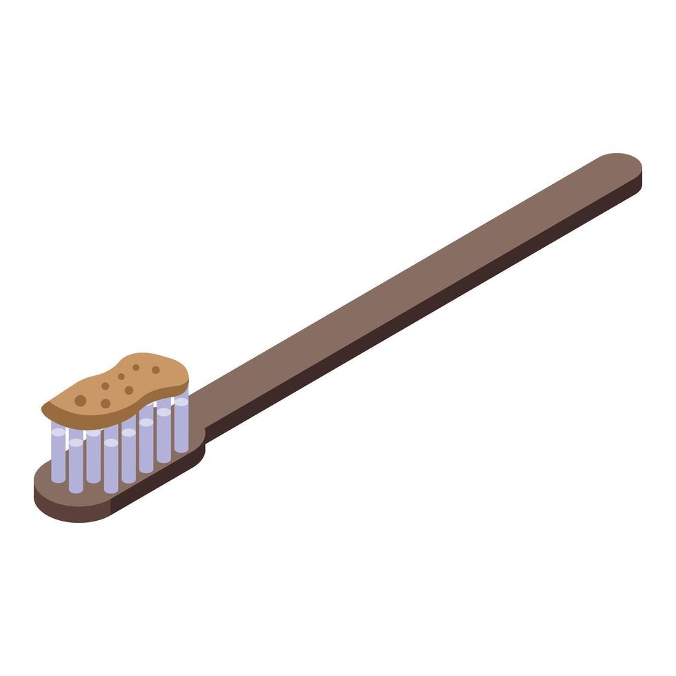 éco brosse à dents icône isométrique vecteur. sodium peau se soucier vecteur