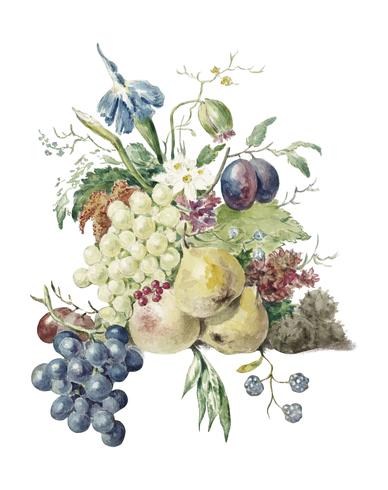 Nature morte de fleurs et de fruits de Jean Bernard (1775-1883). Original du musée Rijks. Augmenté numériquement par rawpixel. vecteur